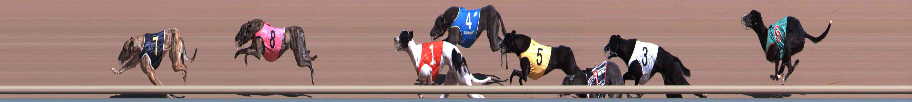 Race result finish photo